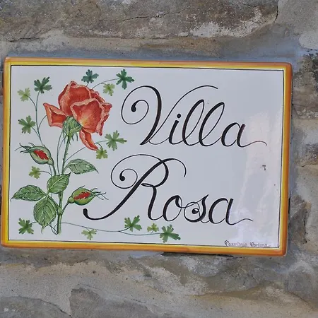 Rosa * Cortona