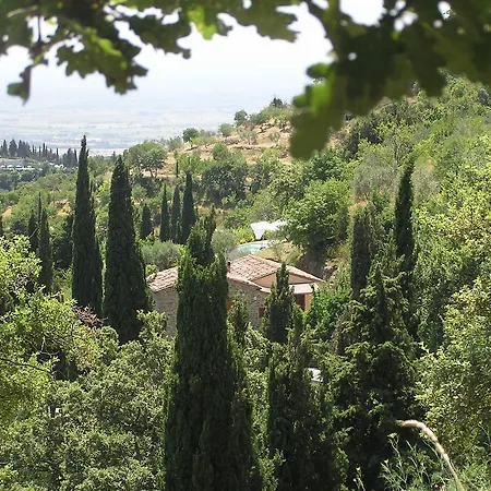 Rosa Villa Cortona